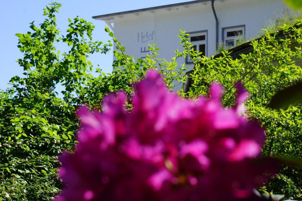 Hotel Waldperle Graal-Mueritz Ngoại thất bức ảnh
